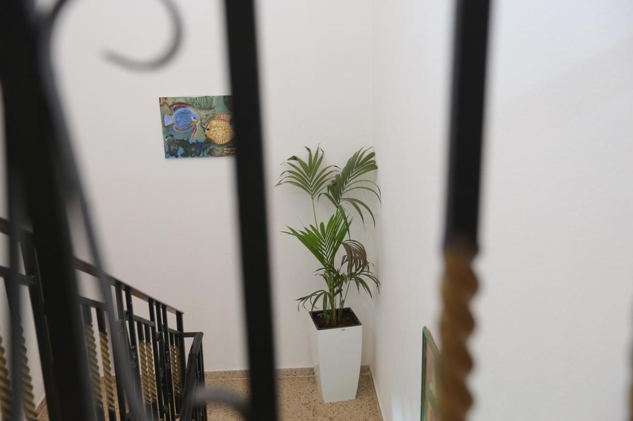 Apartment Celaj Velipojë Екстериор снимка